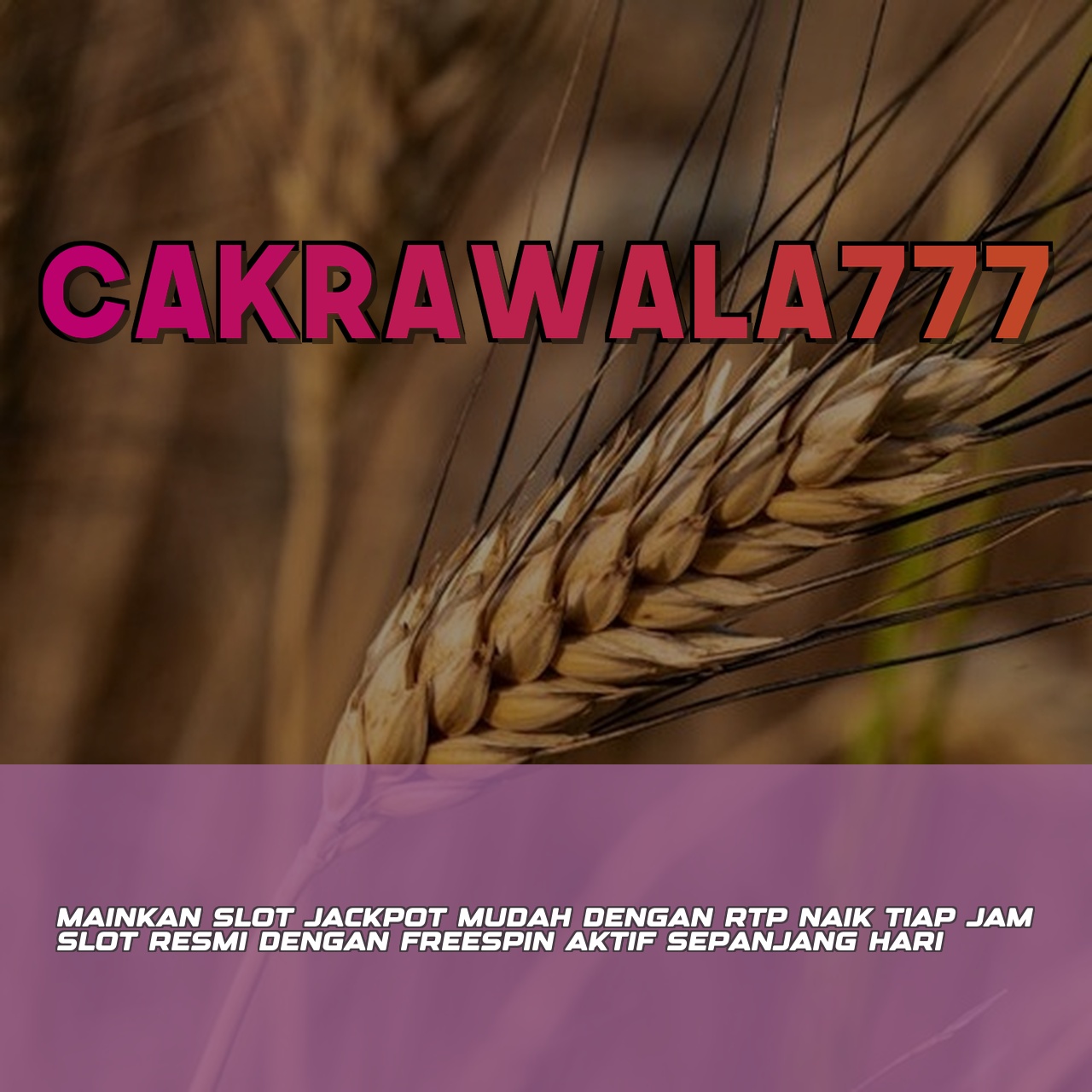 CAKRAWALA777