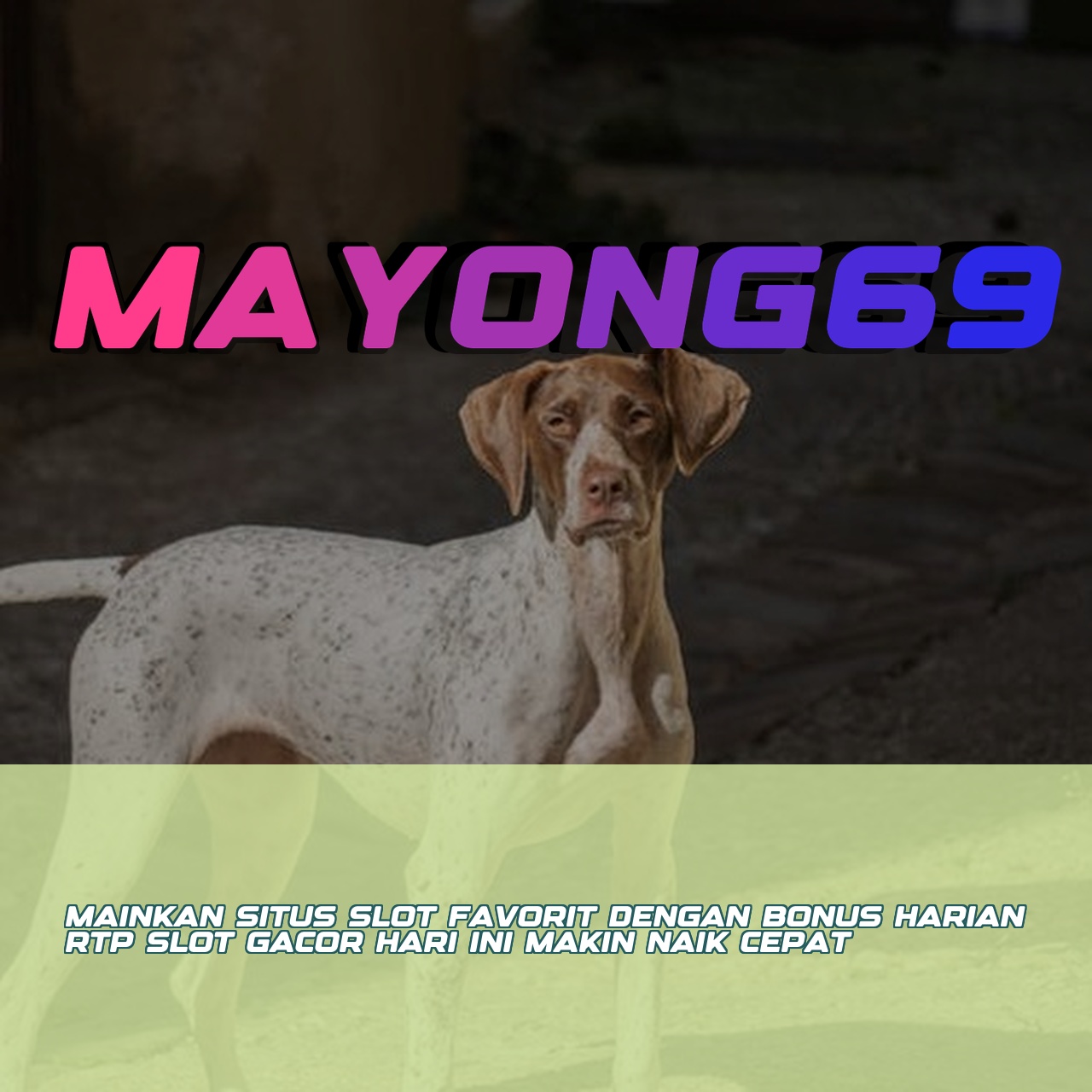 MAYONG69