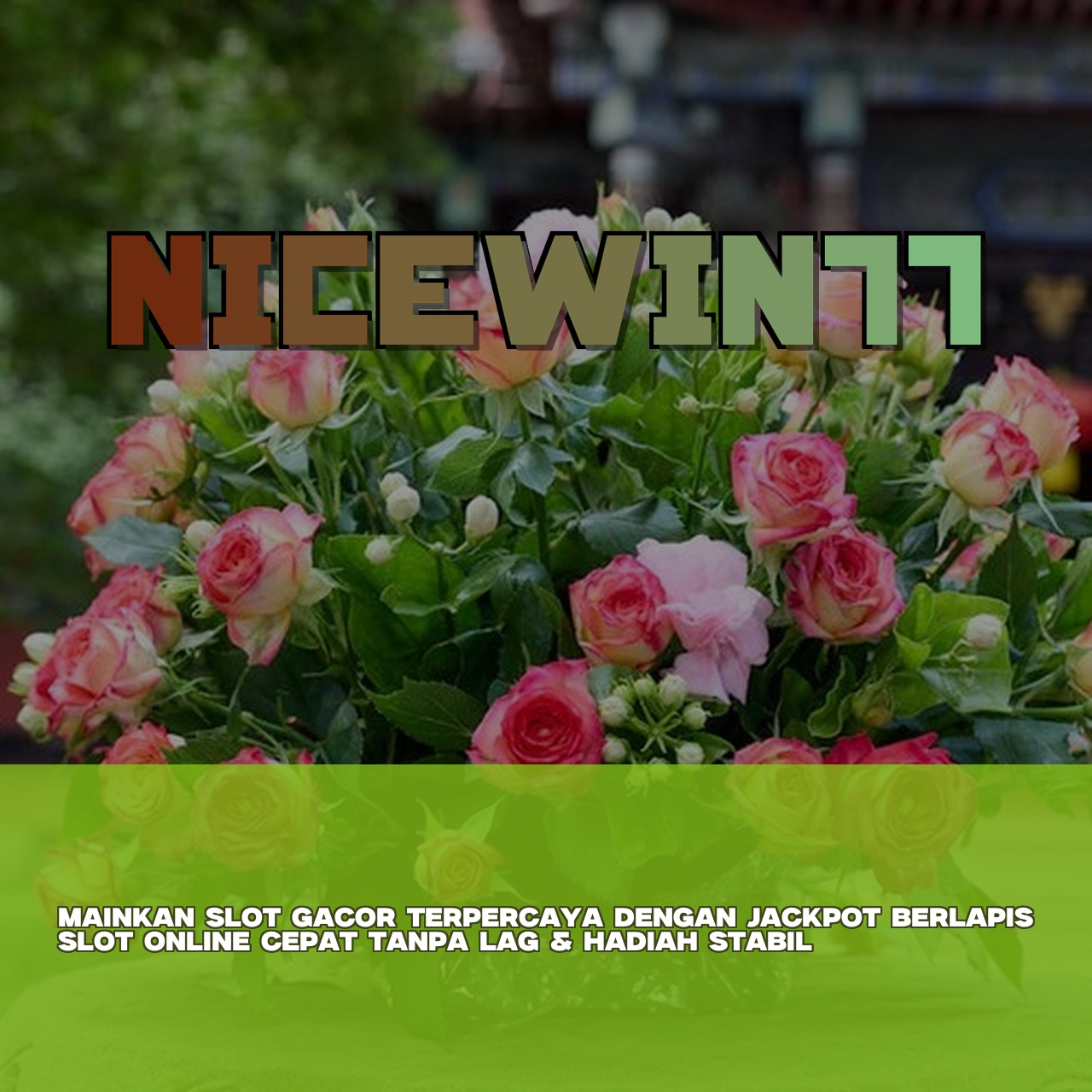 NICEWIN77