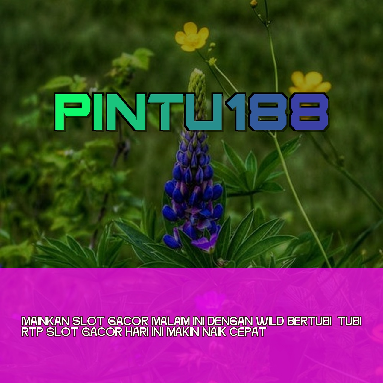 PINTU188