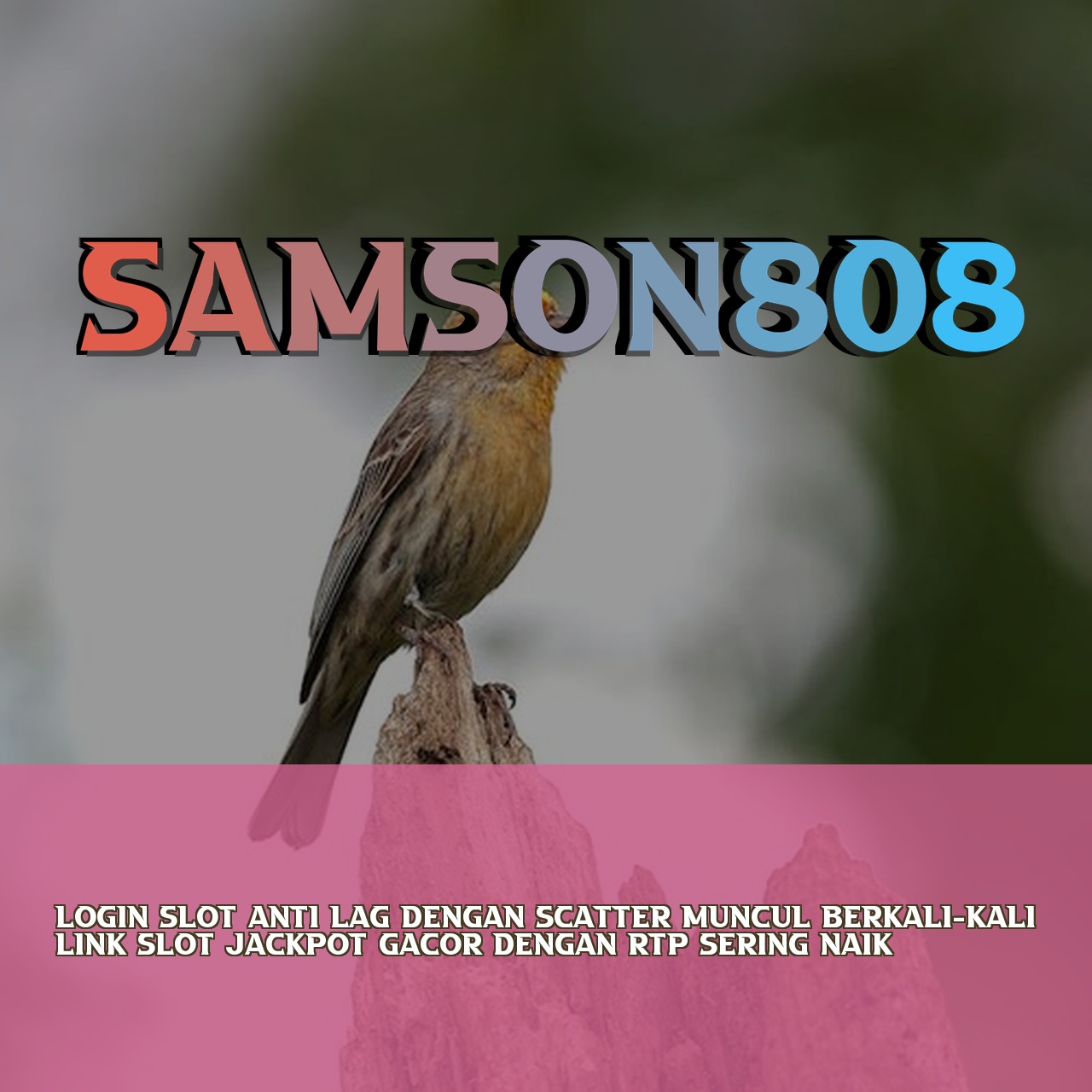SAMSON808