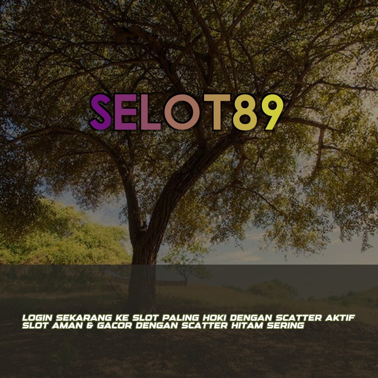 SELOT89