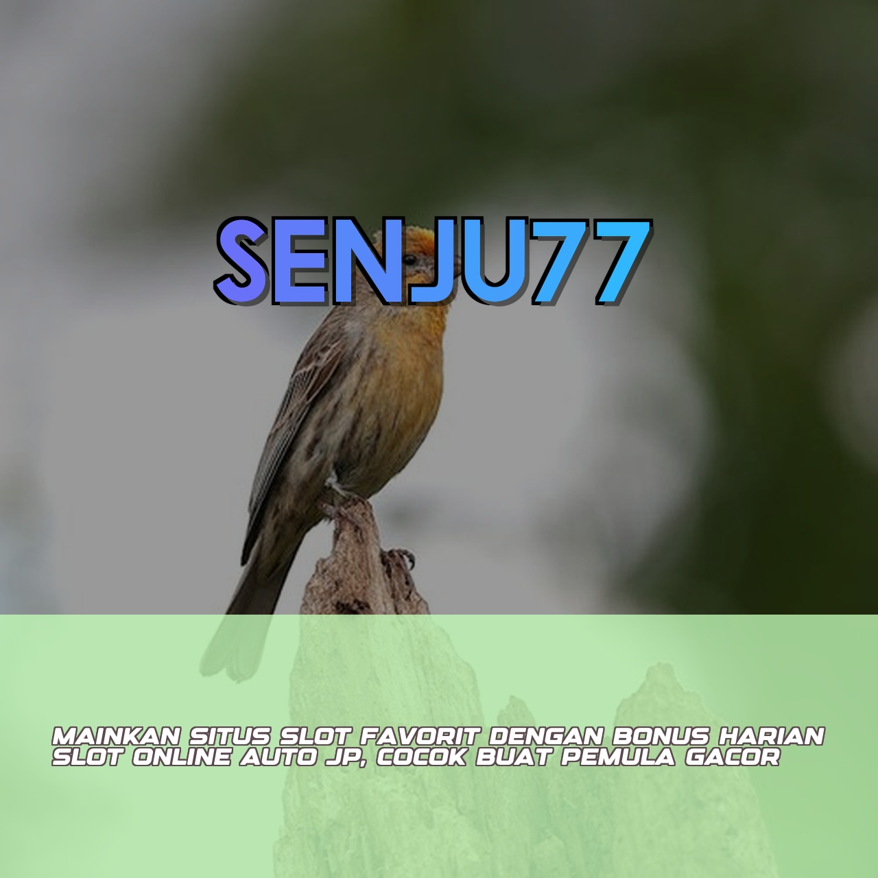 SENJU77